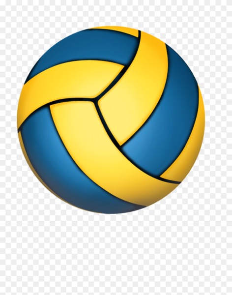 Волейбольный мяч Volleyball
