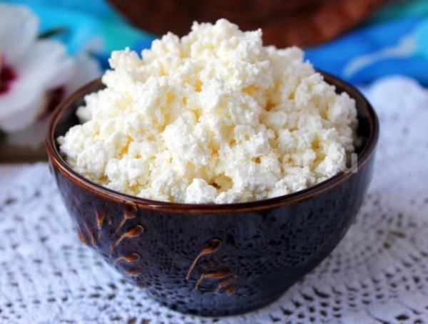 Мисочка с творогом