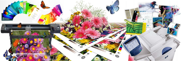 Услуги типографии