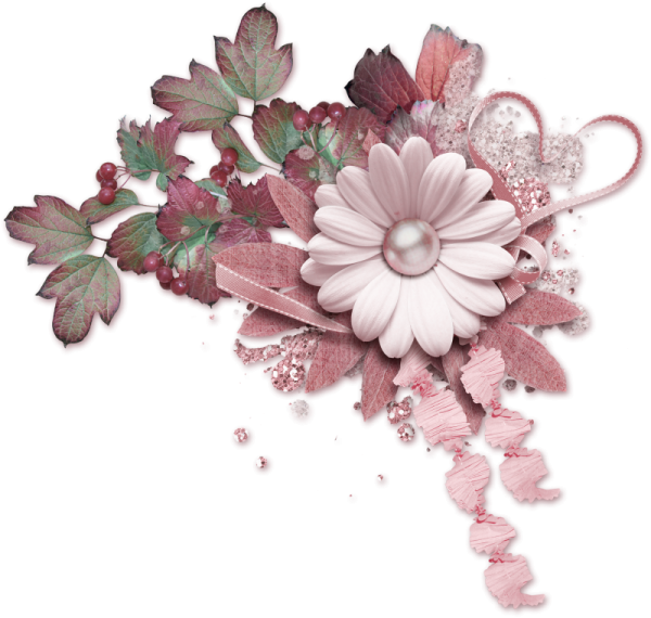 Цветы Скрапбукинг на прозрачном фоне