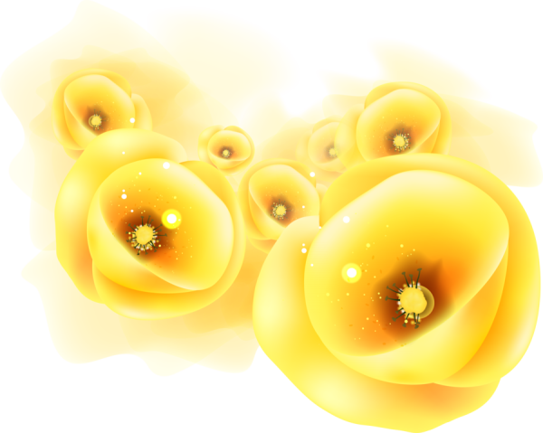 Желтые цветочки на прозрачном фоне