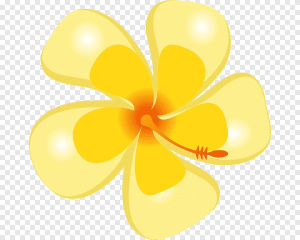 Желтые цветы клипарт
