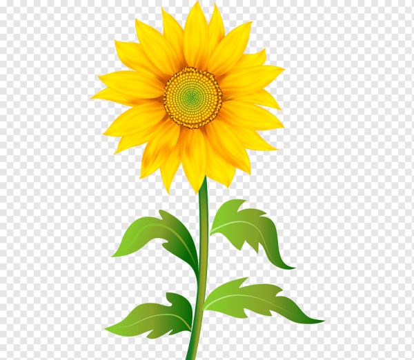 Подсолнухи мультяшные