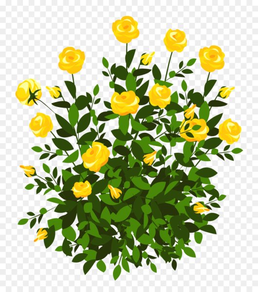 Желтые цветы на прозрачном фоне