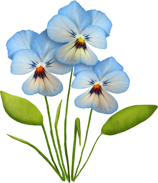 Цветы на белом фоне