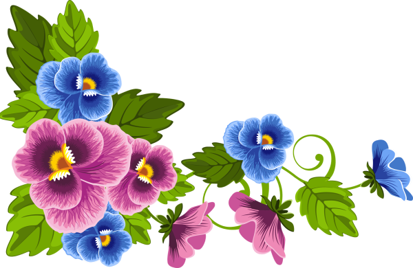 Анютины глазки вектор