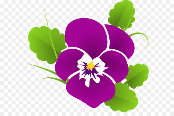 Анютины глазки вектор