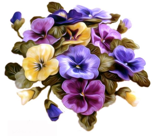 Рисунки цветов цветные