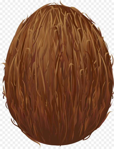 Кокосы векторные