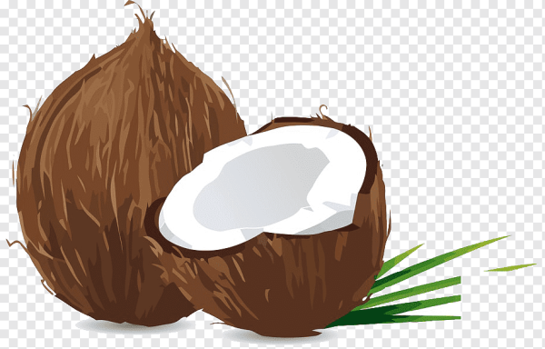 Мультяшные кокосы