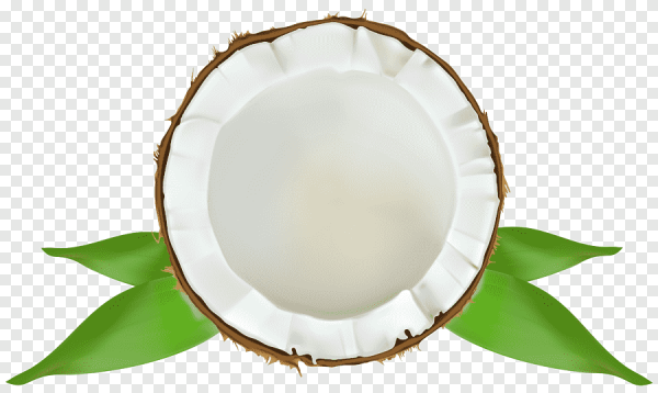 Кокос на прозрачном фоне