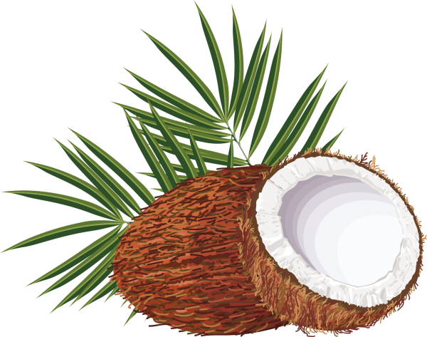 Кокос для детей