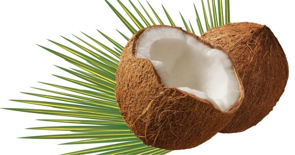 Половинка кокоса на прозрачном фоне