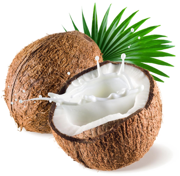 Кокос на белом фоне