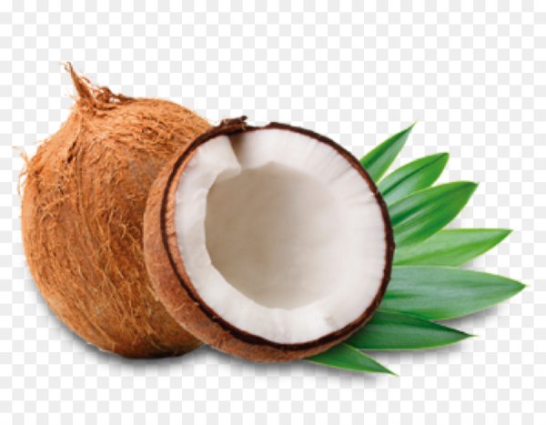 Листья Кокос Кокос