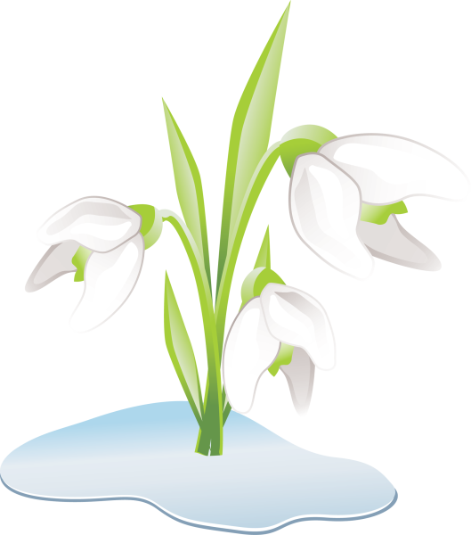 Подснежники мультяшные