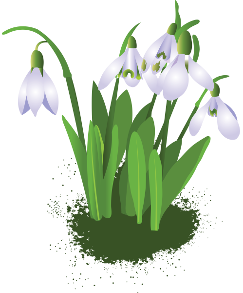 Подснежники мультяшные