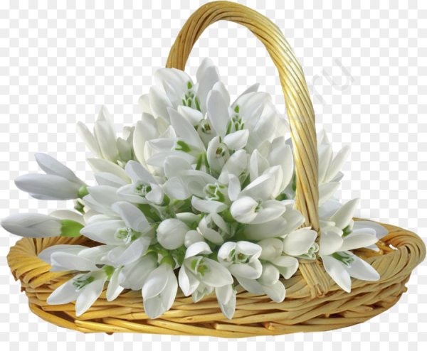 Подснежники в корзинке