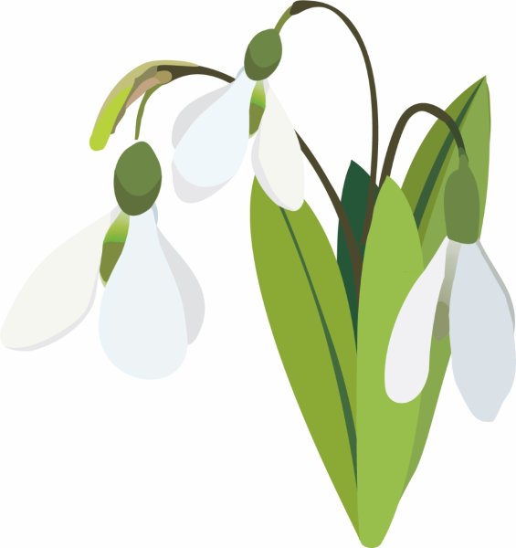 Символ весны