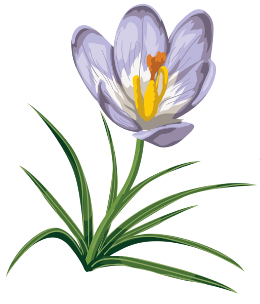 Подснежник для детей