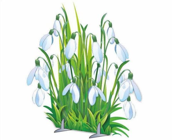 Весенние цветы для детского сада