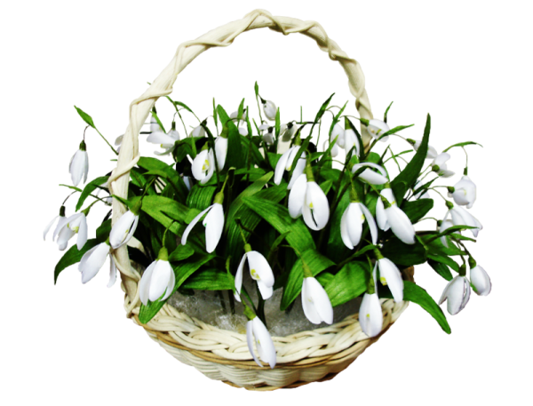 Подснежники в корзинке