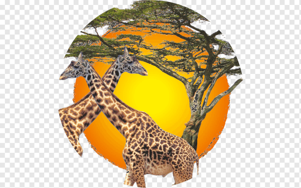 Символ животного мира Африки