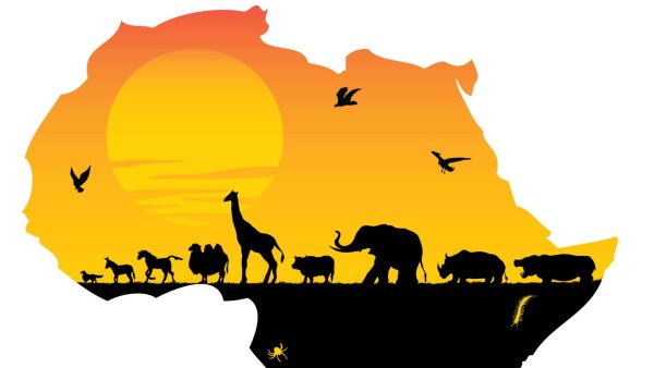 Африка на белом фоне