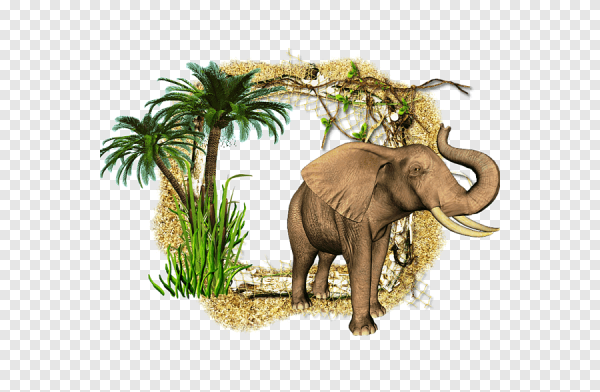 Африка на белом фоне