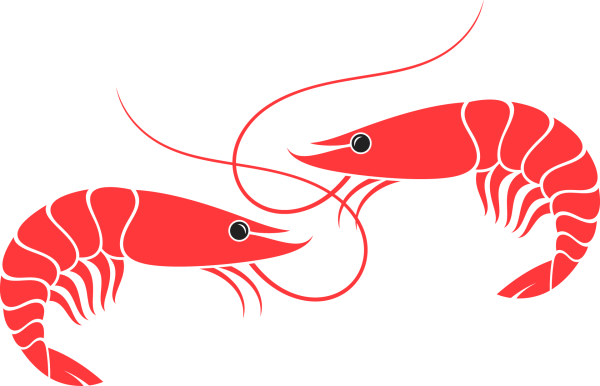 Креветка вектор