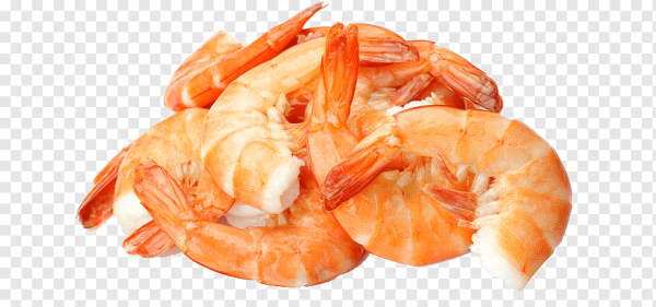 Креветка без фона