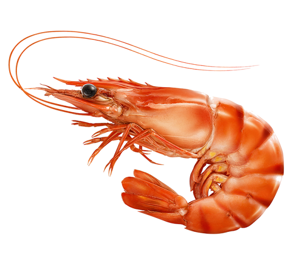 Креветки с хвостиком