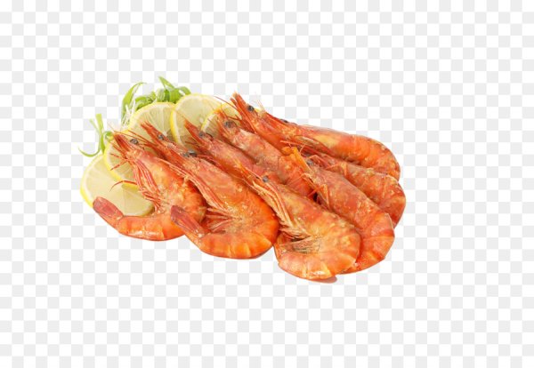 Креветка вектор