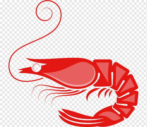 Креветка из мультика