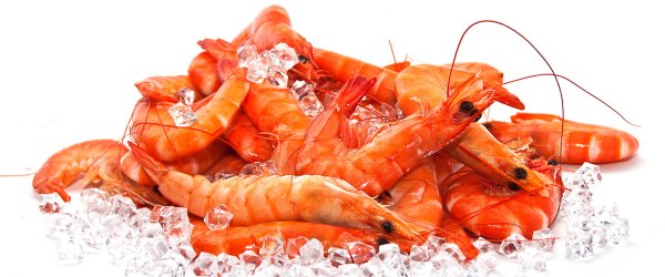 Креветки вид сверху