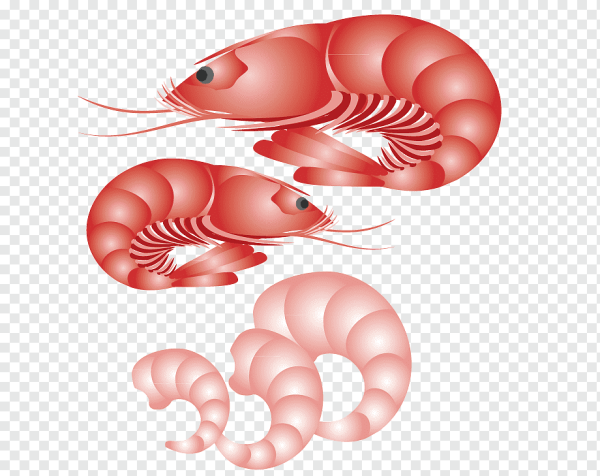 Белые креветки