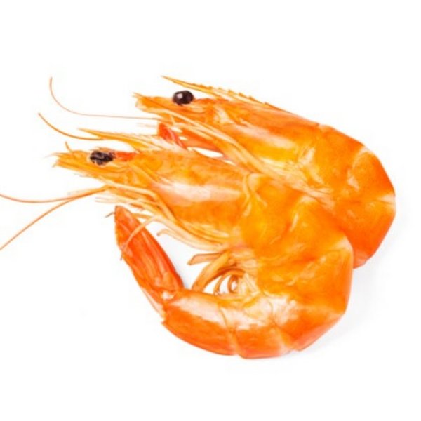 Креветка силуэт