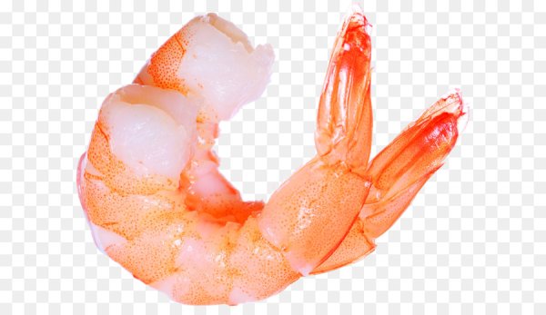 Креветки вид сверху