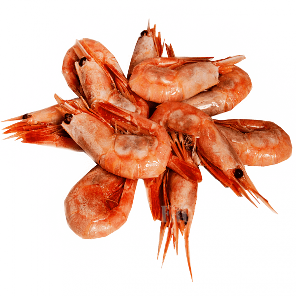 Эмблема креветки