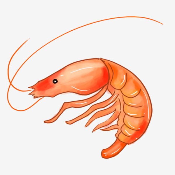 Креветка референс