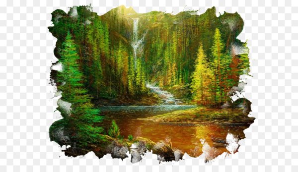 Лес на прозраччноммфоне