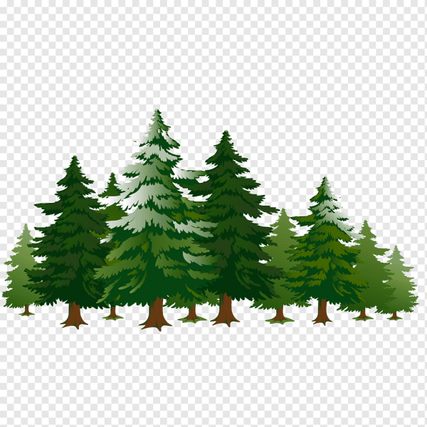 Лес на прозрачном фоне