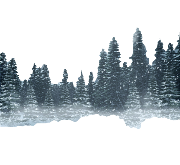 Лес на прозрачном фоне