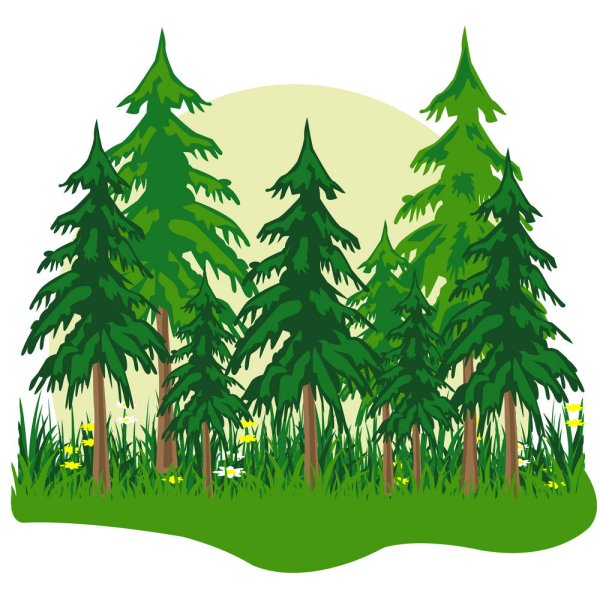 Лес на белом фоне