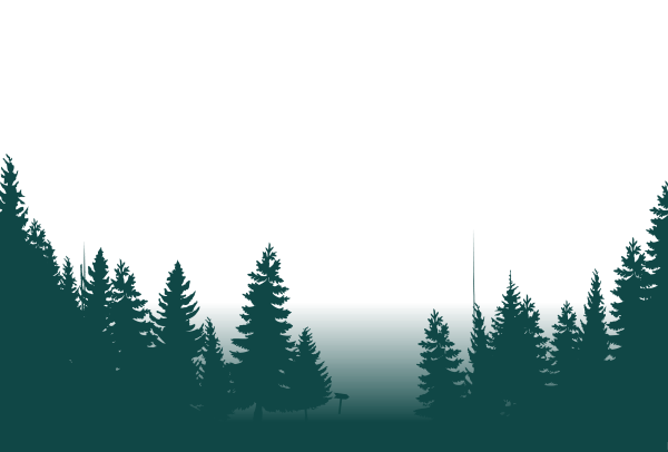 Силуэт леса