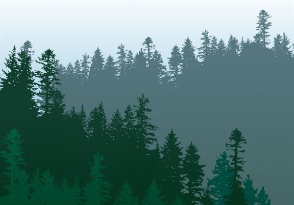 Силуэт леса на стене