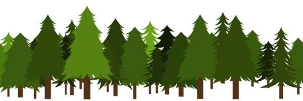 Лес на прозрачном фоне