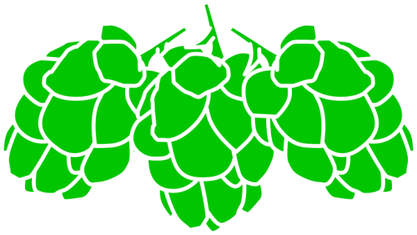 Хмель растение