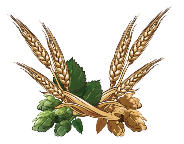 Золотистый Хмель