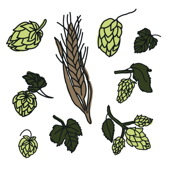 Медовуха Виноградная